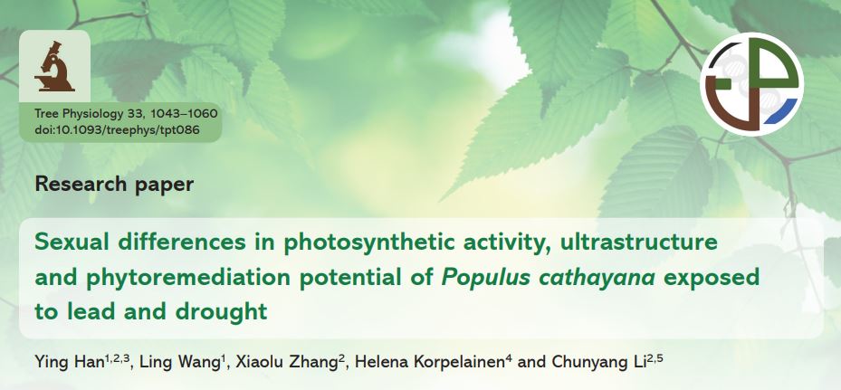 sex-photosynthesis-pdf